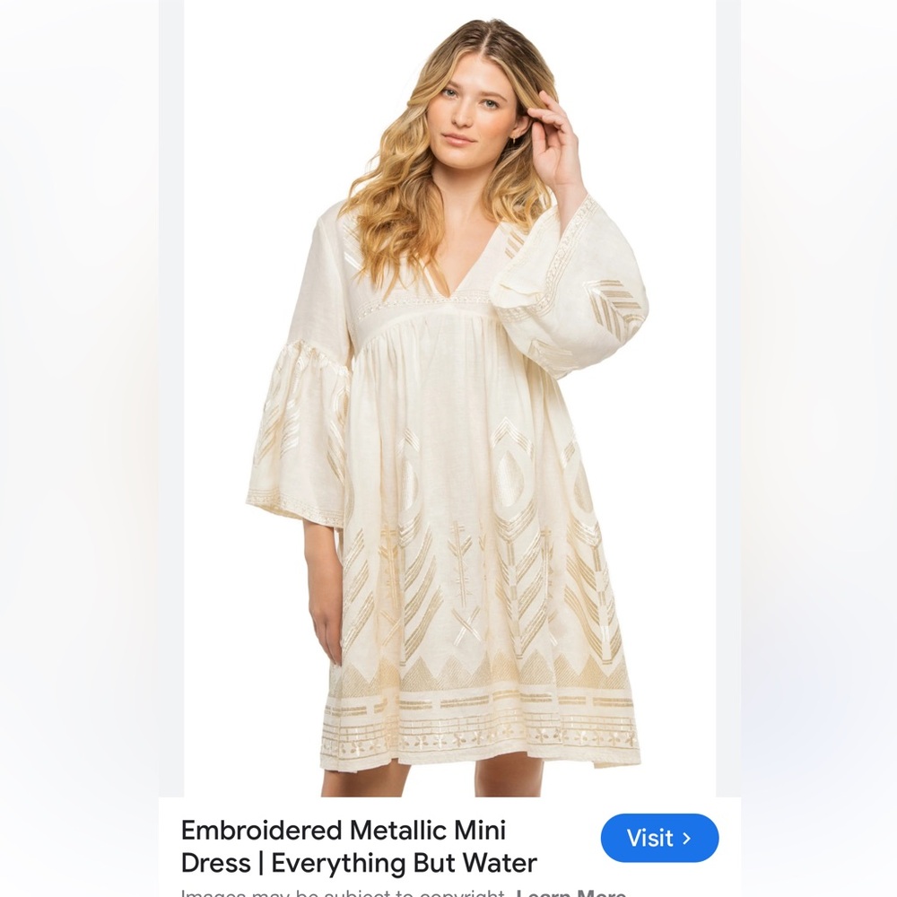 Free People Starlight Embroidered Champagne and Silver Matellic Mini Dress Sm